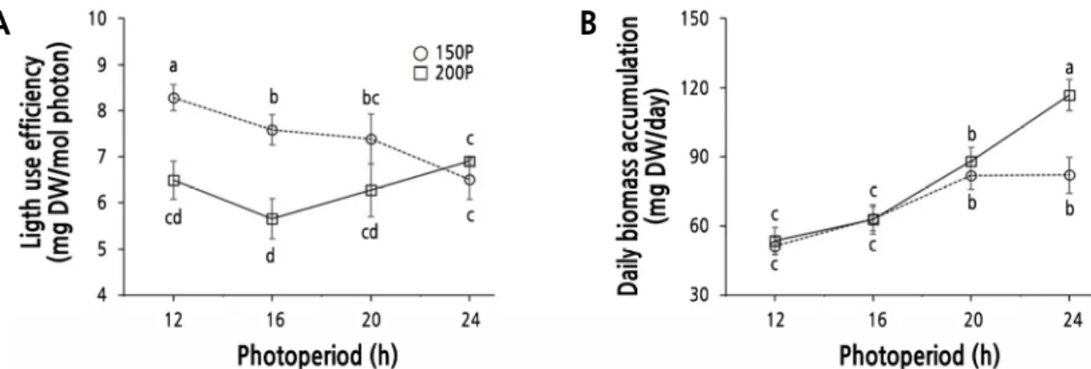 Fig. 6. Light use efficiency (A) and daily biomass accumulation rate (B) of ‘Cheongchima’ lettuce grown hydroponically for  3 weeks under 150 (150P) or 200 (200P) µmol·m -2 ·s -1  PPFD and four photoperiods provided by external electrode  fluorescent lamps