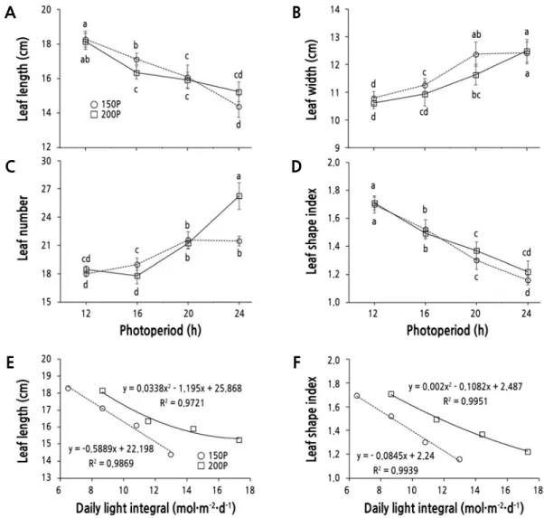 Fig. 3. Leaf length (A), width (B), number (C), shape index (D, leaf length/width), and the relationships between the daily  light integral and leaf length (E) or shape index (F) of ‘Cheongchima’ lettuce grown hydroponically under 150 (150P) or  200 (200P)