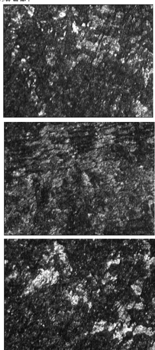 Fig. 4 Temporal variation of the corrosive surface (100
