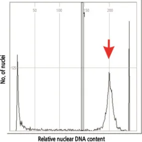 Fig. 2. Histogram of nuclear DNA content estimation of H. sabdariffa var. sabdariffa using flow cytometry.