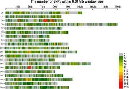 Fig. 1. SNP distribution heatmap in TG201 chromosomes showing the variation between TG201 and TG10 of C