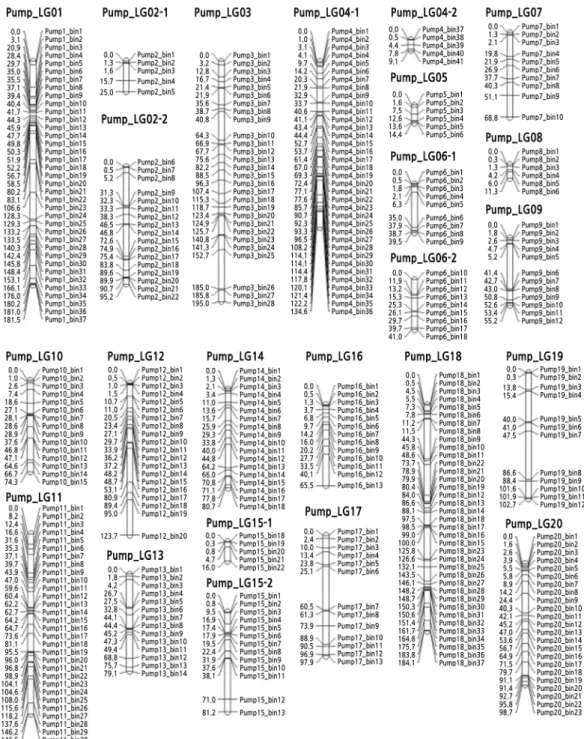 Fig. 2. Linkage map of C. moschata was constructed with bin information of SNPs, which were produced from GBS analysis  of the TG201xTG10 F 2  population