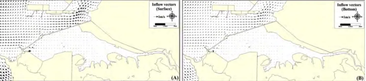Fig. 11. Inflow vector plots at the surface(A) and bottom(B) without tidal power plant operation(Case N).