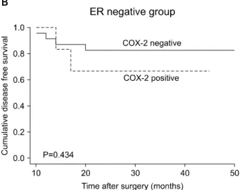 Fig. 3. Disease-free survival (DFS) comparison by hormone receptor status. (A) ER positive group