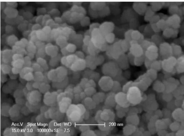 Fig. 4  The SEM image of Si nanoparticles (case E).  4.  결  론  본  연구에서는  상압에서의  열분해법을  이용하여  실리콘  나노입자를  제조하였다