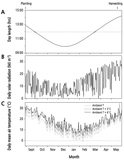 Fig. 1. Seasonal changes in day length (A), daily mean solar radiation (B), and daily mean air temperature (C) in a temperature gradient tunnel (TGT) for southern-type garlic (Allium sativum L.) cultivation during the experimental period (September  2016 -