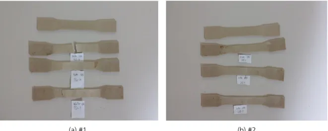 Fig. 12. Specimens (distilled water) after direct tensile test 