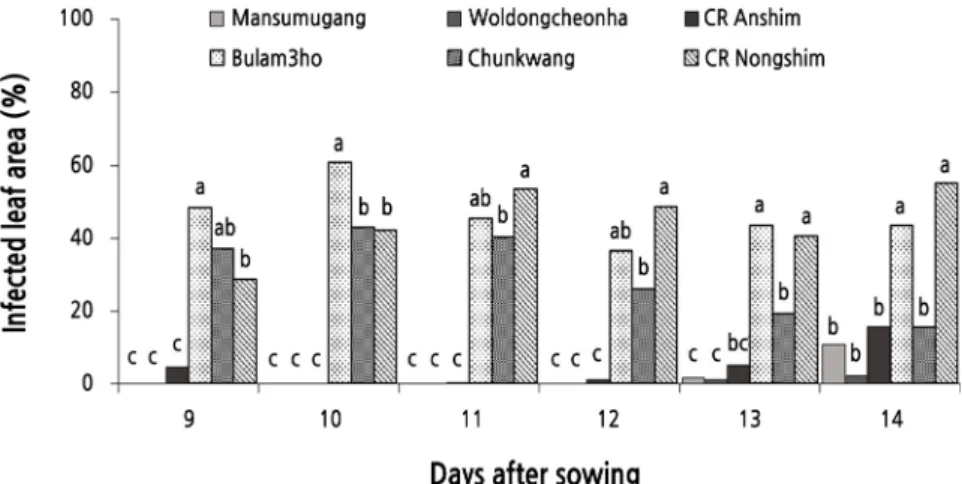 Fig. 2. Development of black rot on six cultivars of Chinese cabbage at different plant growth stage