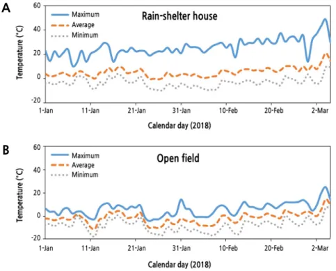 Fig. 1. Temperature of both rain-shelter house (A) and open field (B) during the experiment.