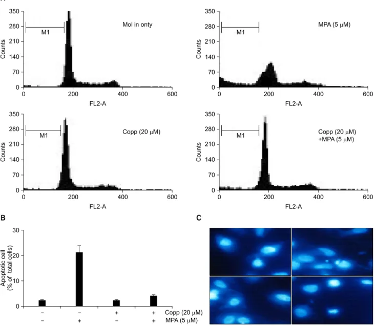 Fig.  6.  Effect  of  CoPPIX,  HO-1  inducer,  in  MPA  induced  apoptosis  on  Jurkat  cells