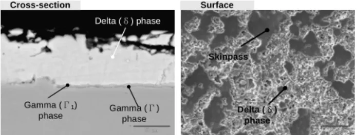 Fig. 4  SEM images of cross-section and surface of GA  coated sheet steel 