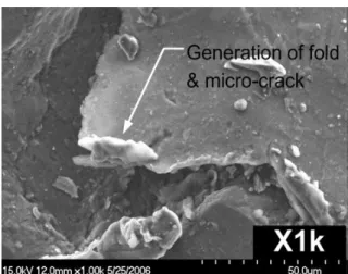 Fig. 6 Magnified over peened specimen