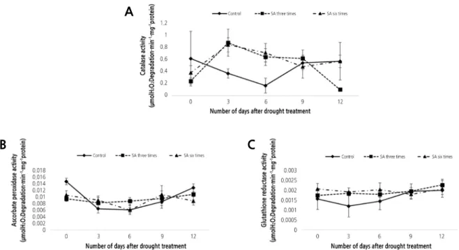 Fig. 5. The effect of exogenous SA on antioxidant activity related to drought tolerance