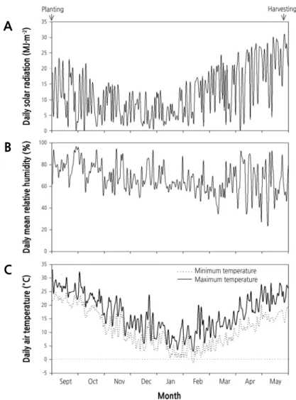 Fig. 1. Changes in daily mean solar radiation (A), daily mean relative humidity (B), and daily air temperature (C) in field  lysimeters filled with different types of soils for garlic (Allium sativum L.) cultivation during the experimental period  (Septemb