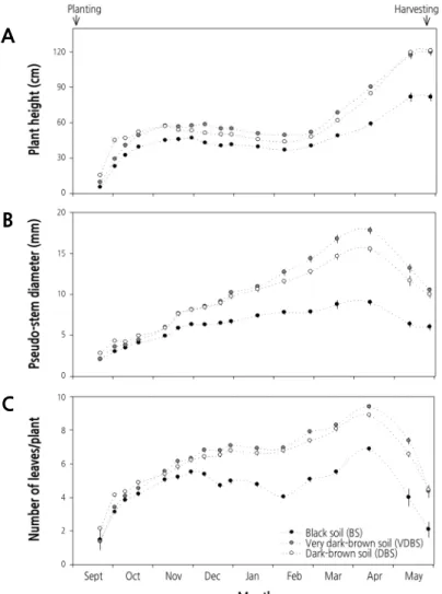Fig. 2. Shoot growth (plant height, pseudo-stem diameter, and leaf number per plant) characteristics of garlic (Allium  sativum L.) grown in different types of soils during the experimental period