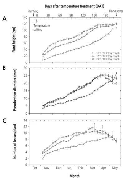 Fig. 2. Effect of day/night temperatures on growth characteristics (A, plant height; B, pseudo-stem diameter; C, number of  leaves/plant) of garlic (Allium sativum L.) during the experimental period