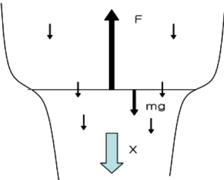 Fig. 1.   Force  Relation  of  Unmanned  Helicopter.