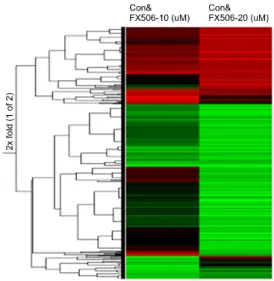 Fig.  3.  Cluster  image  showing  the  different  classes  of  total  gene  expression  profiles.