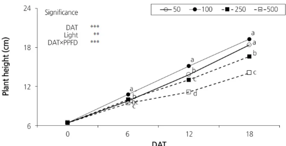 Fig. 1. Effect of light intensity on plant height of Indian lettuce ‘Sunhyang’ grown in controlled system