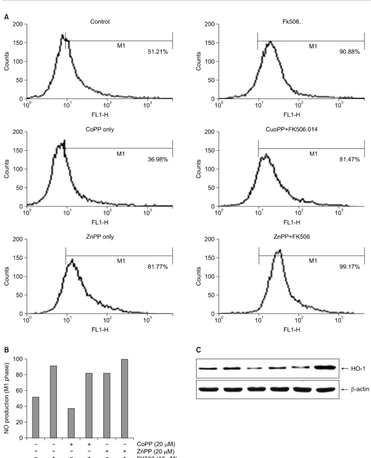Fig.  6.  Effects  of  NO  production  and  iNOS  protein  expression  in  Jurkat  cells  by  CoPP  or  ZnPP