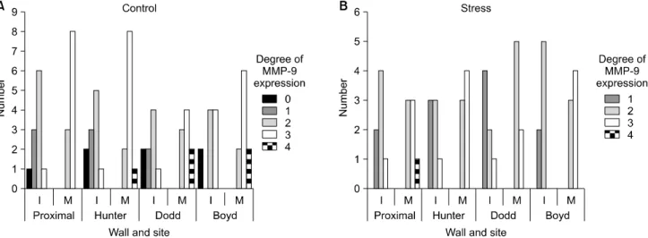 Fig.  4.  By  immunohistochemical  analysis,  the  MMP-9  expression  is  more  intense  at  medial  layer  compared  to  intima  in  both  control  and  stress  groups