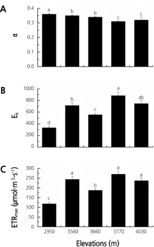 Fig. 2. Rapid light response curve parameters of the Rhododendron species at the five elevation gradients on Jiaozi  Mountain
