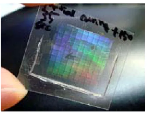 Fig. 3 A photograph demonstrating the large-area  fabrication of micro/nanoscale hierarchical structures  (~2×2 cm 2 )