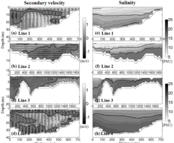 Fig. 9. In line 1~4, the secondary velocity (left column) and salin- salin-ity (right column) distribution for maximum ebb tide on August 24, 2011 (looking toward north)
