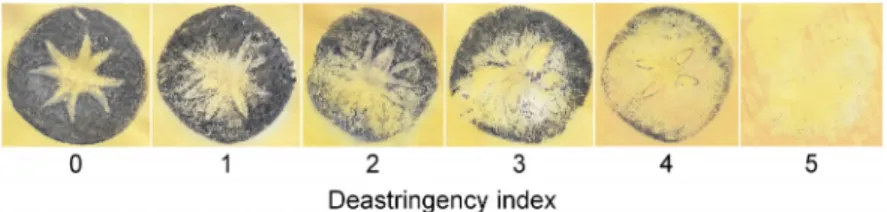 Fig. 1. Deastringency index of astringent ‘Tonewase’ persimmon fruit treated with 90% CO 2  gas