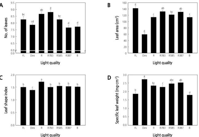 Fig. 5. The effects of the light quality on the number of leaves (A), leaf area (B), leaf shape index (C), and specific leaf weight  (D) of ‘Mini Chal’ tomato (Solanum lycopersicum L.) plants measured 23 days after treatment