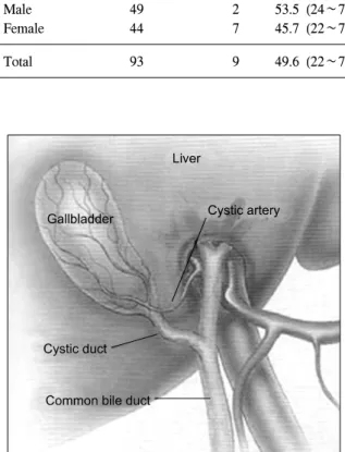 Fig.  2.  Double  cystic  arteries.  The  two  arteries  pass  through  Calot's  triangle  (type  B).