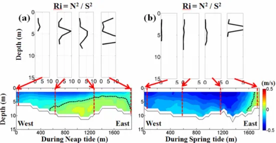 Fig. 9. Top layer in the figure shows that tidal averaged Richardson number calculated at CTD casting (red dotted line) at line 1