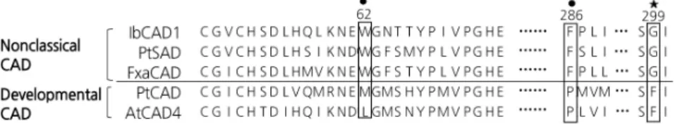 Fig. 4. Partial sequence alignment of nonclassical and development-related cinnamyl alcohol dehydrogenases (CADs)
