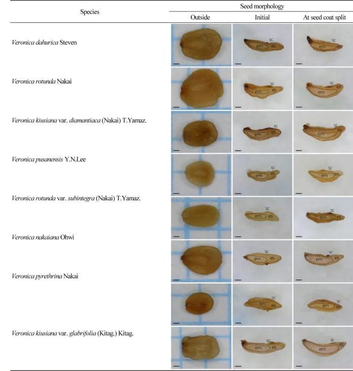 Table 2. Seed morphology and embryo growth in seed of eight Veronica species. Undeveloped embryos in initial seed and  fully developed embryos at seed coat split are shown