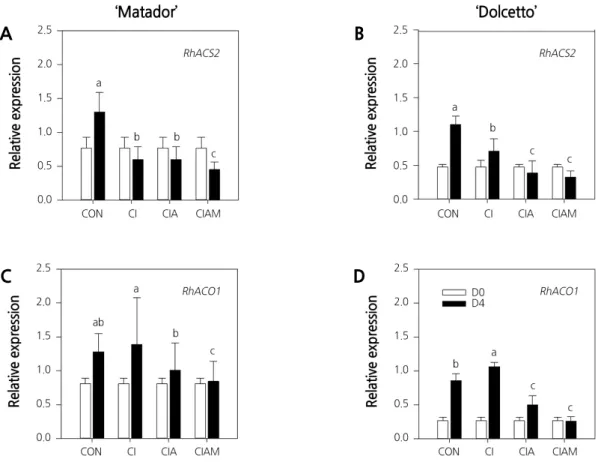 Fig. 6. Expression patterns of RhACS2 and RhACO1 genes in ‘Matador’ (A and C) and ‘Dolcetto’ (B and D) cut roses