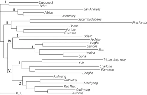 Fig. 1. Dendrogram of genetic distance among the 28 strawberry cultivars constructed using neighbor-joining (NJ) analysis  based on SSR markers.