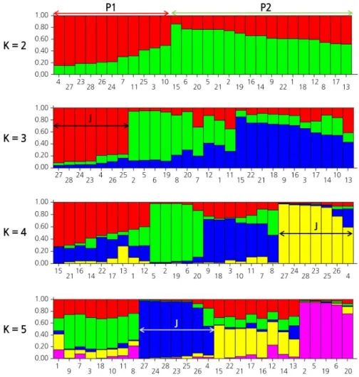 Fig. 4. Model-based ancestry for each of the 28 cultivars based on the 10 SSR markers used to build the Q-matrix