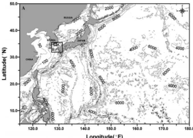 Fig. 5. Location and initial free surface profiles of 2011 East Japan Tsunami (unit : m).