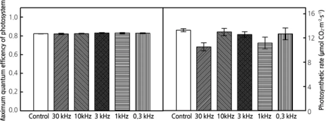 Fig. 2. Maximum quantum efficiency of photosystem II (A) and photosynthetic rate (B) of lettuce plants grown under  various pulsed LEDs for 4 weeks.