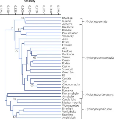 Fig. 2. Unweighted pair group method with arithmetic mean (UPGMA) dendrogram based on the similarities calculated  from the random amplification of polymorphic DNA (RAPD) data of 34 cultivars of the Hydrangea