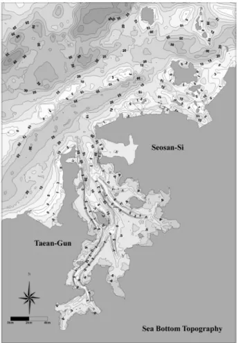 Fig. 3. Sea Bottom Topography.