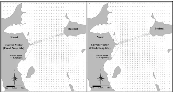 Fig. 7. Maximum current vector at neap tide.