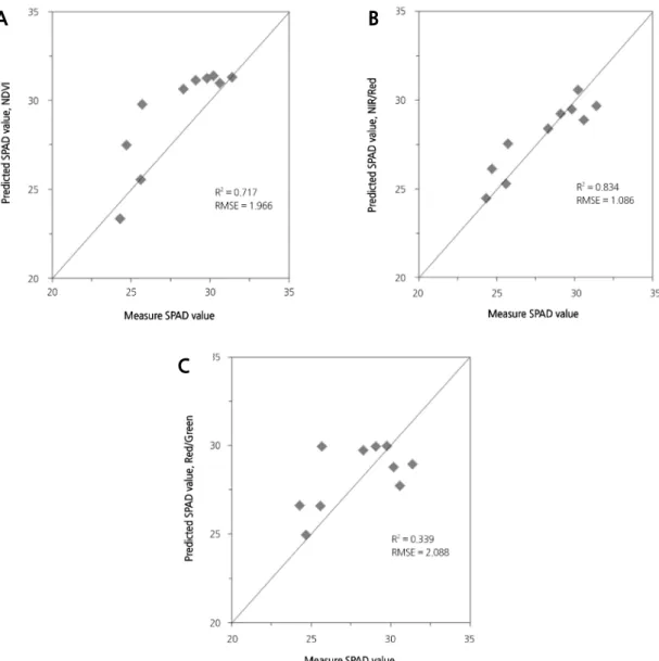 Fig. 8. Measured and predicted SPAD values of lettuce leaves using prediction models based on NDVI (A), R NIR /R Red  ratio (B),  and R Red /RG reen  (ratio C)