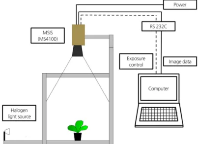 Fig. 1 shows a schematic diagram of the acquisition system used to obtain lettuce images