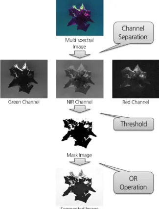 Fig. 2. Schematic diagram of the image pre-processing steps (Cho, 2017). 