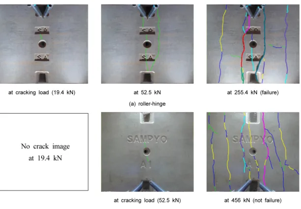 Fig. 9. Crack pattern by image process