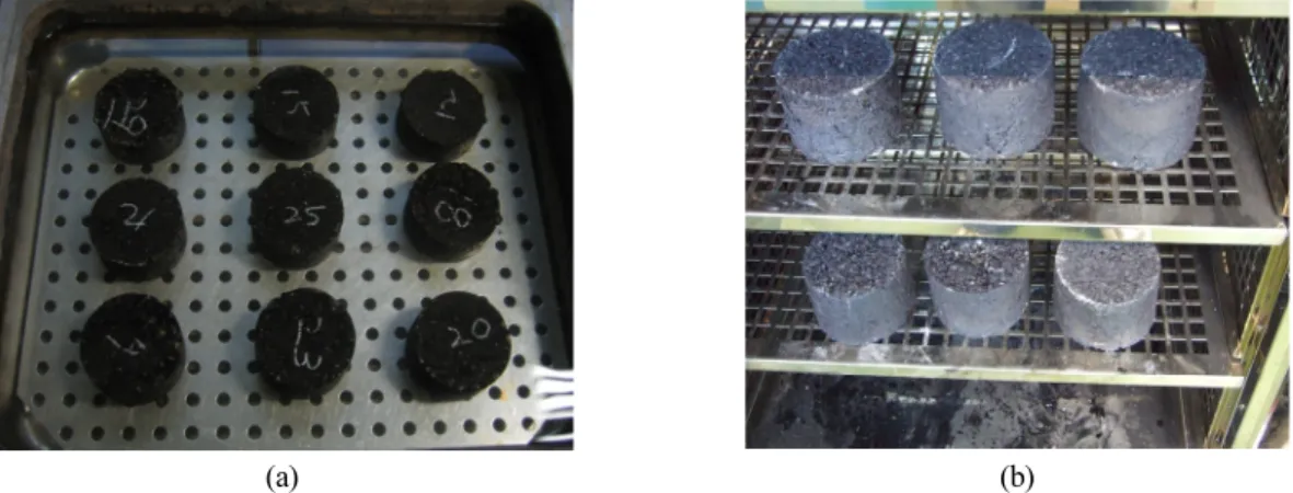 Fig. 2. Specimens conditioning up to 60°C in (a) water bath (b) drying oven for Kim test