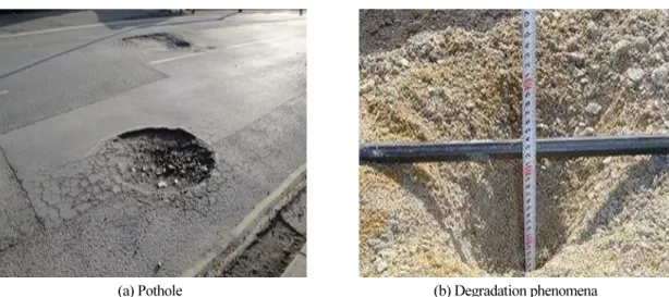 Fig. 1. Crack and Damage of Roadway