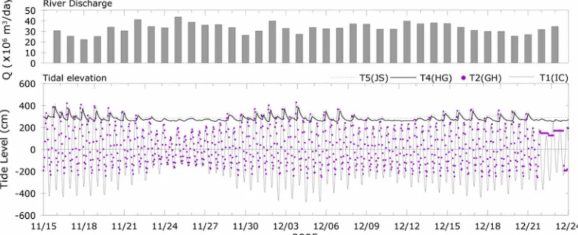 Fig. 3. Time variations of current vectors.