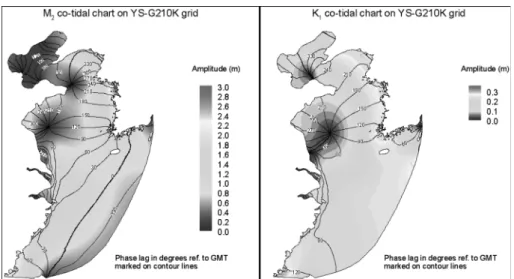 Fig. 4.  Calculated cotidal charts of M2 and K1. Phases are represented as degree referenced to Greenwich mean time.